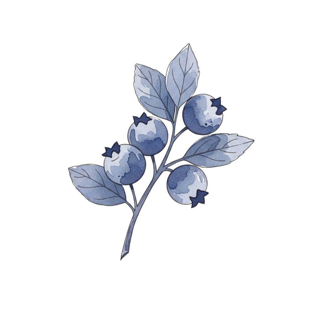 Blueberries